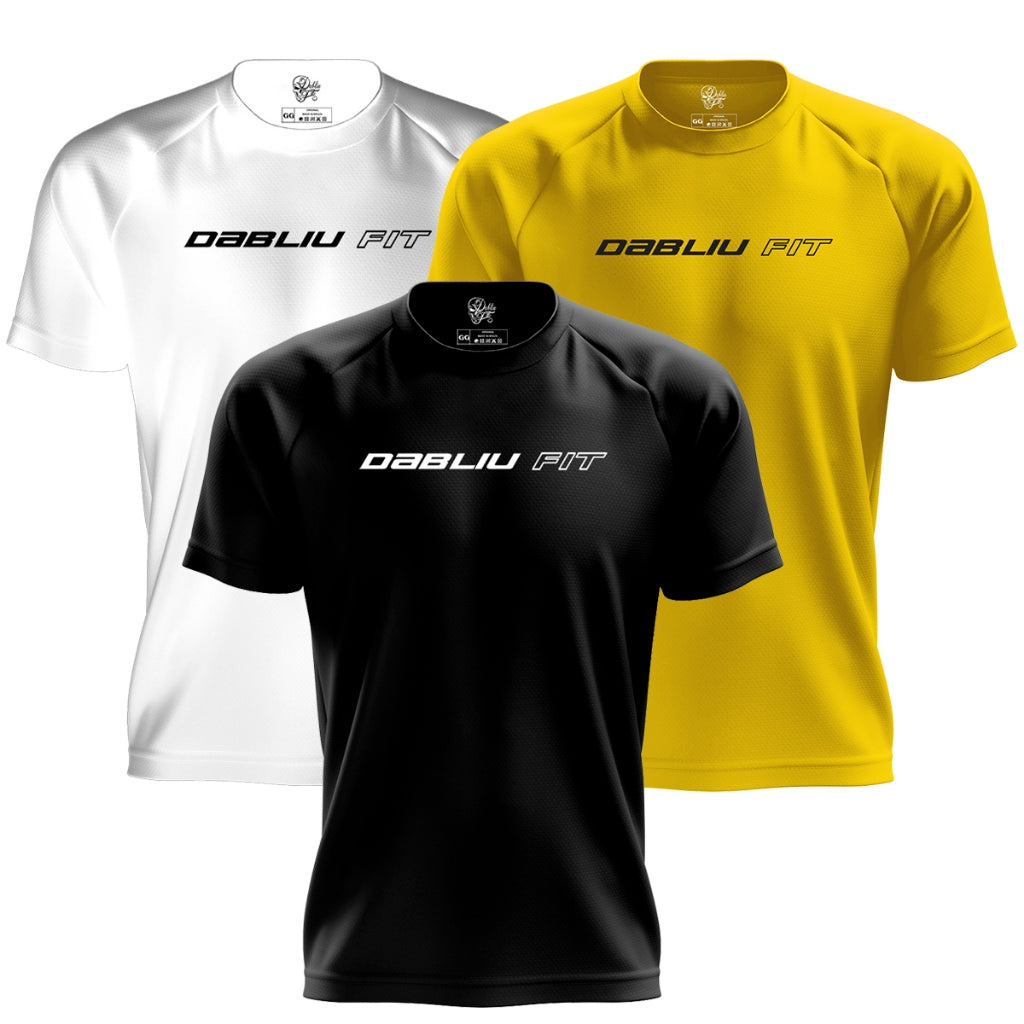 Kit 3 Camisetas Treino Dry Fit Coleção Basic Fit Antiodor Proteção UV+35 Dabliu Fit